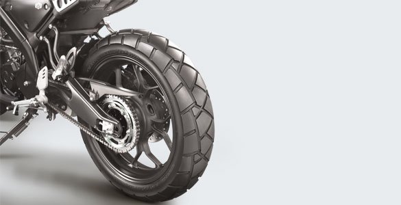 Dual Purpose Tire
