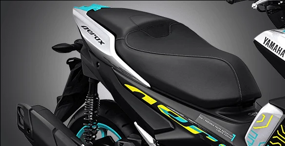 Comfortable Tandem Seat