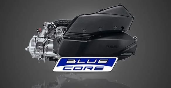 Blue Core 250 CC