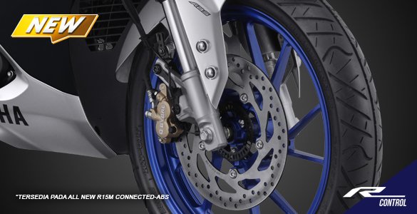 Dual Channel Anti-Lock Braking System (ABS)