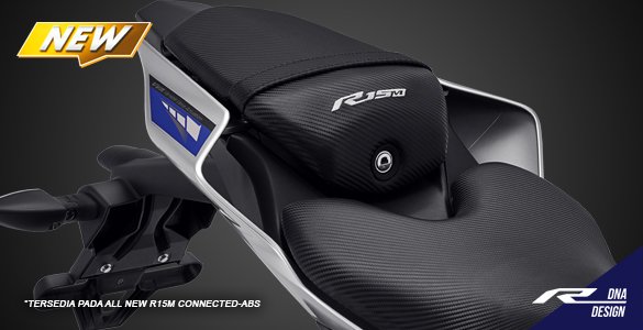 Special Seat Carbon Motifs